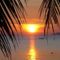 Foto: Sibaja Palms Sunset Beach Luxury Villa 3/16